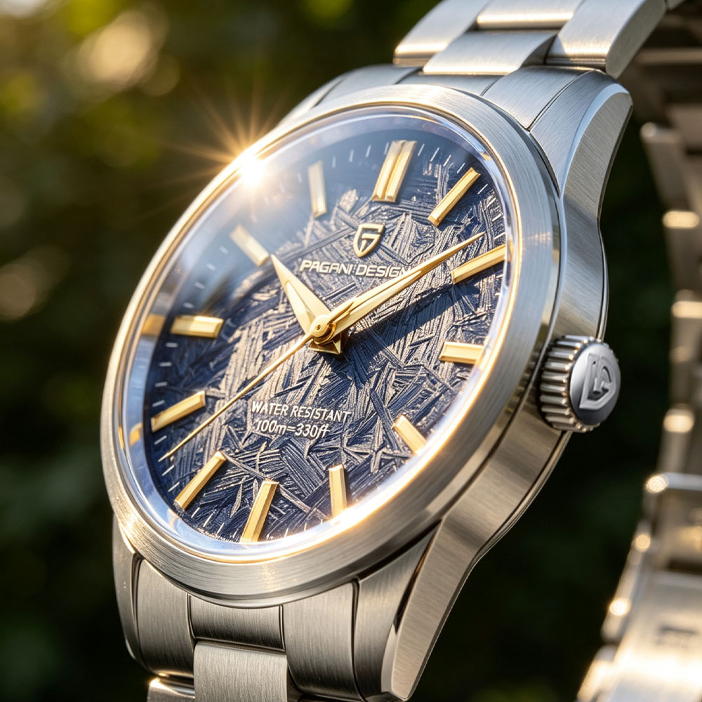 Jewelry Style Watches - PAGANI DESIGN 40MM Erkekler Kuvars İzle