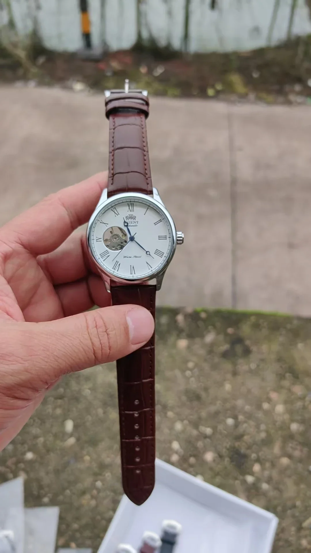 DFDG Mekanik İskelet Saat, Tam - Seiko Watch Presage incelemesi ve fiyatı
