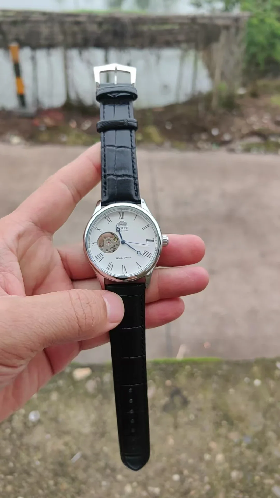 DFDG Mekanik İskelet Saat, Tam - Seiko Watch Presage incelemesi ve fiyatı